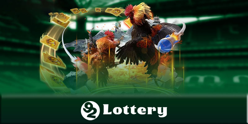 Đá gà 92Lottery - Các lợi ích lớn khi chơi đá gà 92Lottery